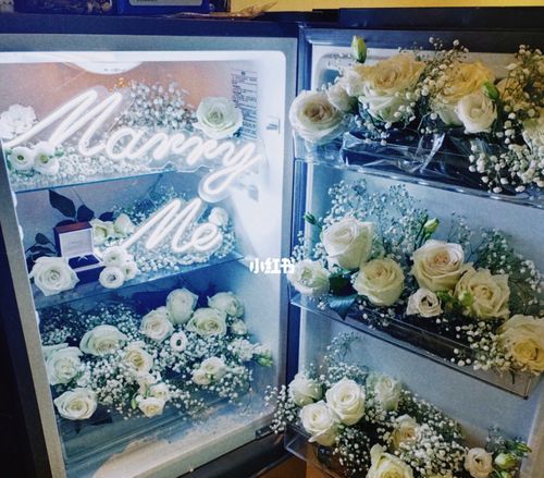 玫瑰可以放冰箱保鲜吗