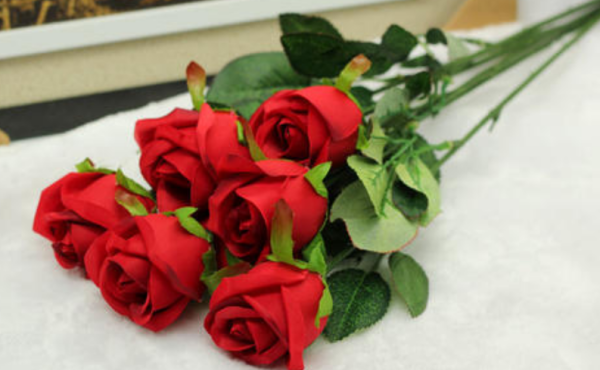 玫瑰花放冰箱可以保鲜,玫瑰花放冰箱可以保鲜吗图3