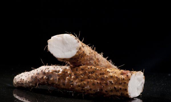 山药长芽如何处理,山药发芽了怎么种植好图2