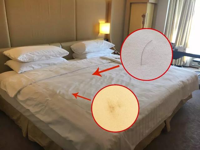 北京香格里拉饭店介绍(北京香格里拉饭店测评报告)(18)