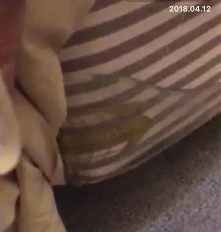 北京香格里拉饭店介绍(北京香格里拉饭店测评报告)(11)