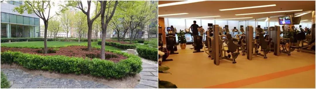 北京香格里拉饭店介绍(北京香格里拉饭店测评报告)(30)