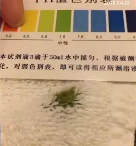 北京香格里拉饭店介绍(北京香格里拉饭店测评报告)(14)