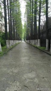 ​上海影视乐园，曾经拍过多少部电视剧？有哪些经典作品？