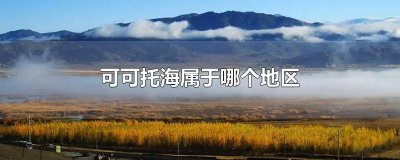 ​可可托海是哪个地区的 可可托海在哪个地区