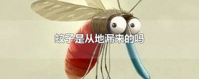 ​蚊子是从地漏来的吗视频 蚊子会从地漏进来吗