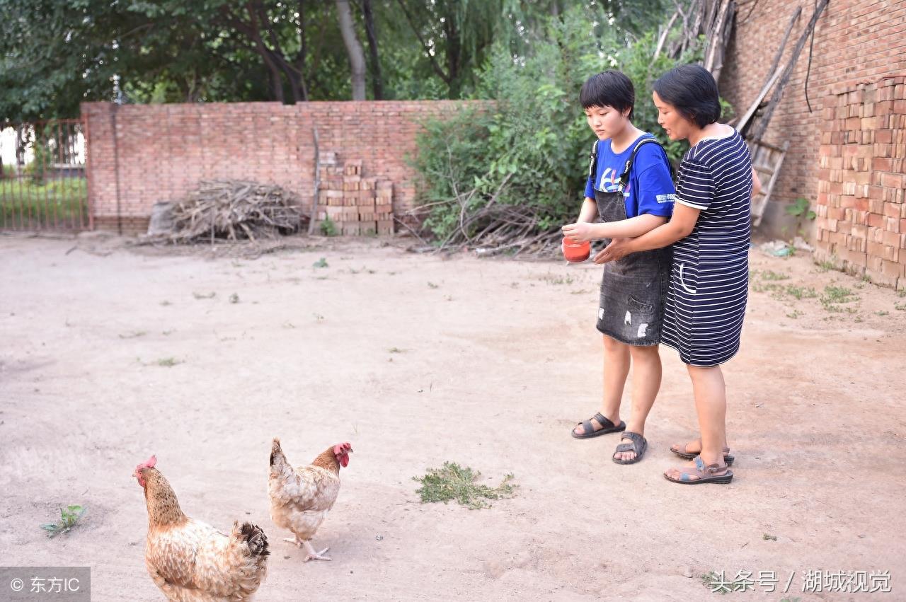 感谢贫穷!707分考入北大,河北王心仪刻苦求学事迹看哭所有人
