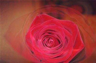 ​淡淡忧伤的句子（个性爱情语录）