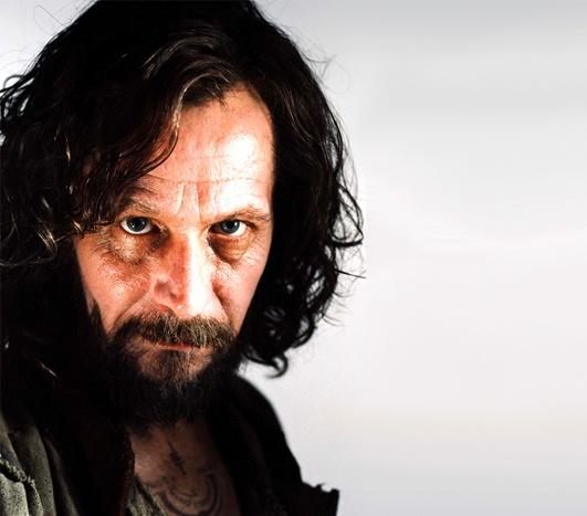 哈利波特的15位配角如今长什么样(哈利波特系列中最受欢迎的25个角色)(20)