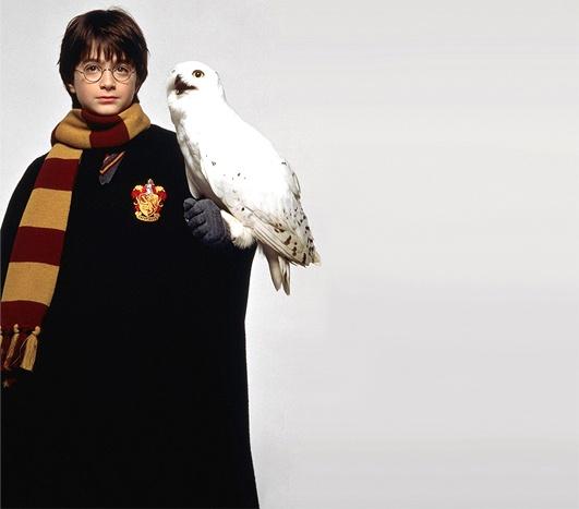 哈利波特的15位配角如今长什么样(哈利波特系列中最受欢迎的25个角色)(1)