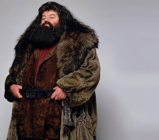 哈利波特的15位配角如今长什么样(哈利波特系列中最受欢迎的25个角色)(12)