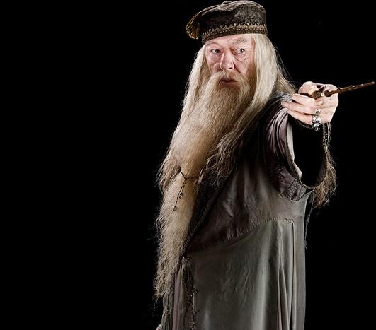 哈利波特的15位配角如今长什么样(哈利波特系列中最受欢迎的25个角色)(18)