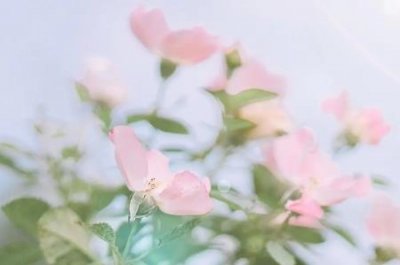 ​2x4电缆线价格2X2,5电缆多少钱一米