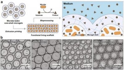 ​手机屏幕坏了还能把东西导出来吗？手机屏幕坏了怎么导出里面所有东西