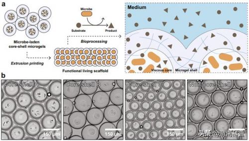 手机屏幕坏了还能把东西导出来吗?手机屏幕坏了怎么导出里面所有东西-第1张图片-