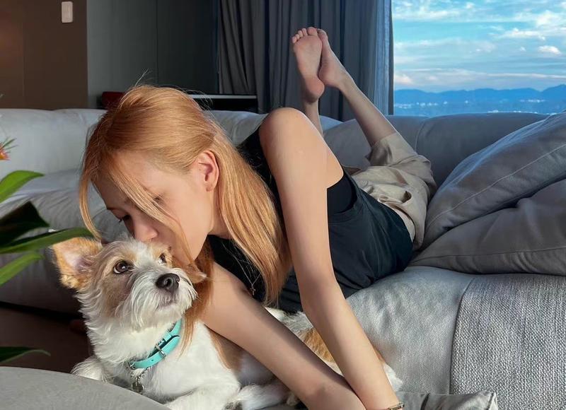 双鱼座的优缺点一览,让你彻底了解他们! 双鱼座的优缺点一览,让你彻底了解他们!