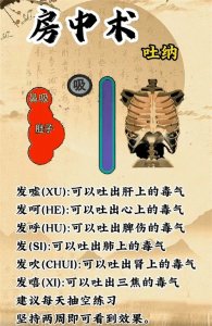 ​健康养生，超全中医吐纳循环及打坐运气示意图解，简单实用