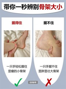 ​冷知识来袭，带你一秒辨别骨架大小！