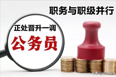 ​正处晋升一级调研员的条件是什么？工资待遇涨幅有多大？