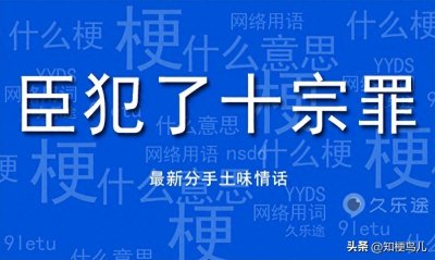 ​臣犯了十宗罪是什么梗什么意思，是哪十宗罪