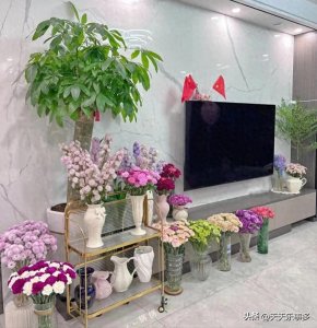 ​20大“吉祥花”，建议至少养一盆，大气又干净，旺家旺气运！