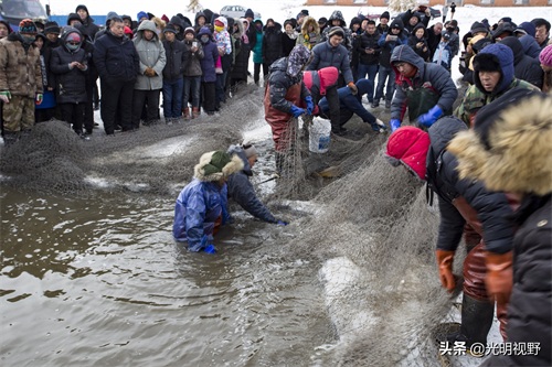吉林：山沟里的鸭嘴鱼遭市民哄抢，渔民一天捕一万斤，每斤卖80元