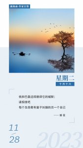 ​作家日签 | 娜夜：每个生命都有量子纠缠的另一个自己