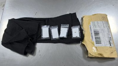 ​汕头海关所属龙湖海关查获大麻种子10粒