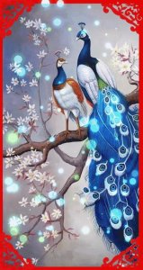 ​分享吉祥鸟图～图片，见到吉祥鸟，祝您好运，2022年一年好运