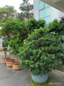 ​给父母多少钱才算合理，给少了是不是就不孝顺