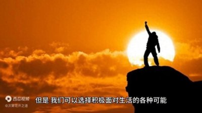 ​人生象巧克力吗？