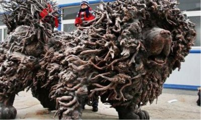 ​河北出现长达4米的巨型“藏獒”，可卖出2000万天价，乐坏了