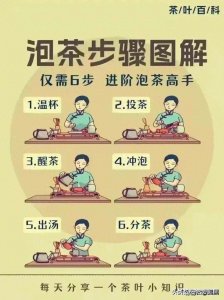 ​泡茶高手养成记：只需 6 步，轻松学会