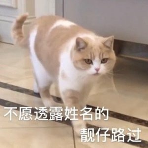 ​表情包 | 尴尬而不失礼貌的微笑