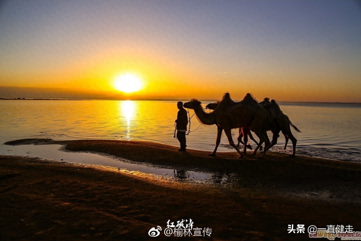 《大漠明珠——红碱淖》