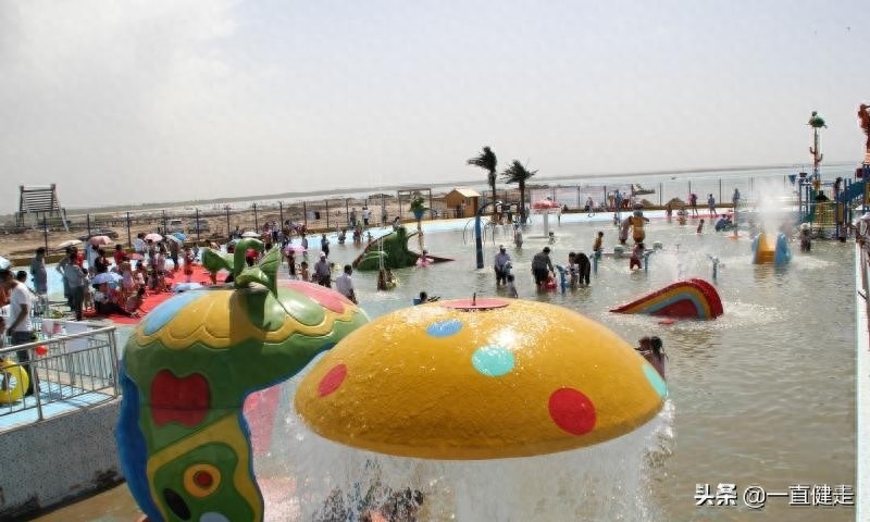 《大漠明珠——红碱淖》