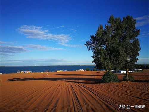 《大漠明珠——红碱淖》