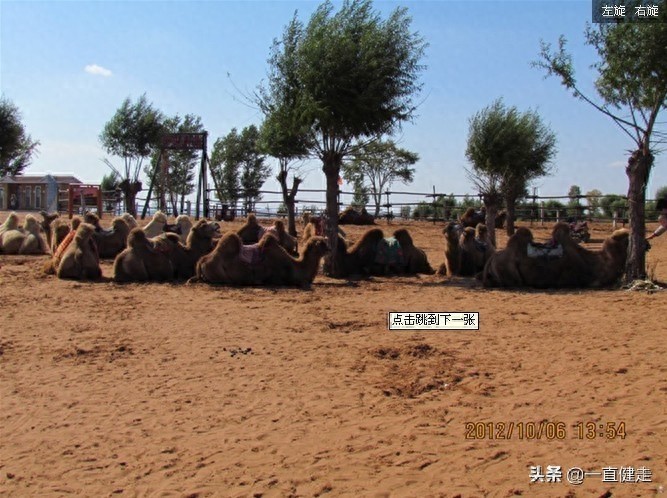 《大漠明珠——红碱淖》