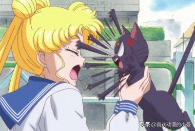 ​她是我记忆里的女英雄，她就是美少女战士中的月野兔