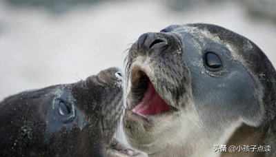 ​阔绰造句和解释_阔绰的例句有哪些 - 小孩子点读