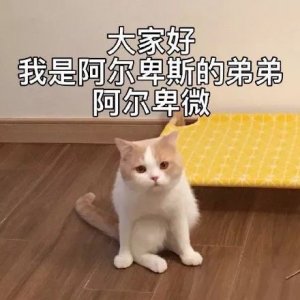 ​卑微表情包丨小委屈，我能忍