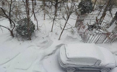 ​你发现没？今年的大雪过后，出现5个“怪现象”，跟往年大不相同