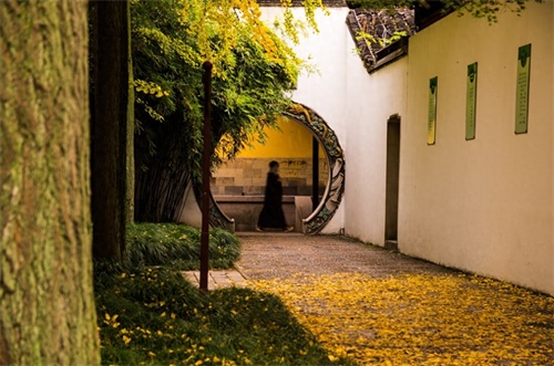 苏州西园寺位于苏州阊门外虎丘路西园，现存建筑为清代重建