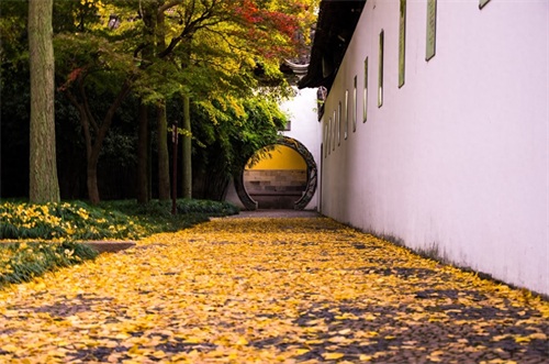 苏州西园寺位于苏州阊门外虎丘路西园，现存建筑为清代重建