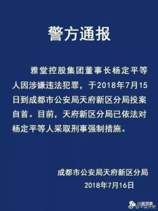 ​成都雅堂控股董事长涉嫌违法犯罪 已投案自首
