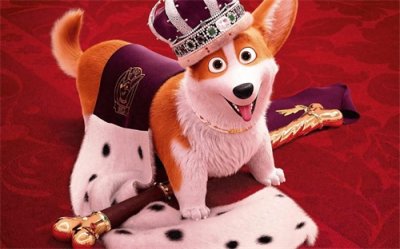 ​《女王的柯基》：一场关于忠诚、智慧与权力的戏剧