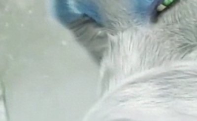 ​《活佛济公》白灵和陈亮的爱恨情仇：故事才开始