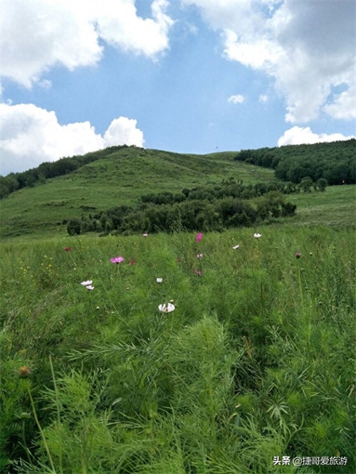 河北省 承德市 丰宁满族自治县 丰宁坝上草原