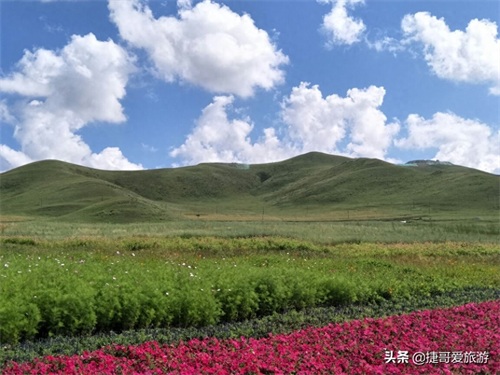 河北省 承德市 丰宁满族自治县 丰宁坝上草原