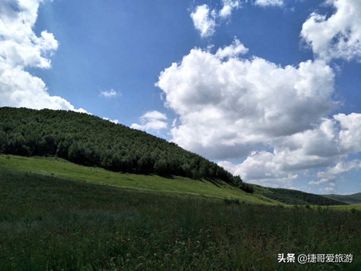 河北省 承德市 丰宁满族自治县 丰宁坝上草原